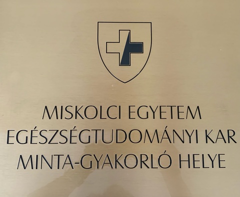 Miskolci Egyetem Egészségügyi Kara kitüntető címben részesítette a MIÓVI Napraforgó Tagóvodáját