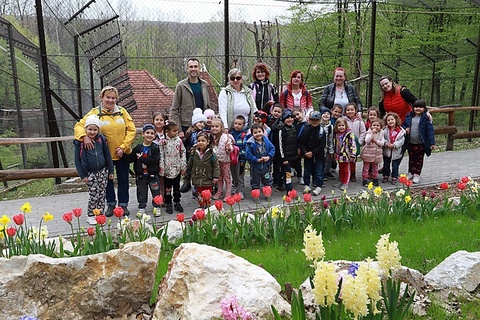 Minap - OVISOK JÁRTÁK BE AZ ÁLLATKERTET A FÖLD NAPJA ALKALMÁBÓL Minap - OVISOK JÁRTÁK BE AZ ÁLLATKERTET A FÖLD NAPJA ALKALMÁBÓL