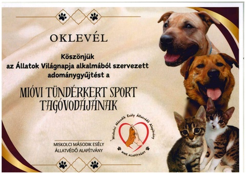 Adománygyűjtést szervezett a MIÓVI Tündérkert Sport Tagóvodája a Miskolci