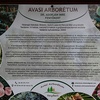 Minap - MESEERDŐ AZ AVAS SZÍVÉBEN