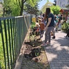 Nyílt nappal egybekötött Föld napja a MIÓVI Mesevár Tagóvodájában