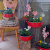 Tulipános Láda II. Néphagyományőrző csoportok találkozója